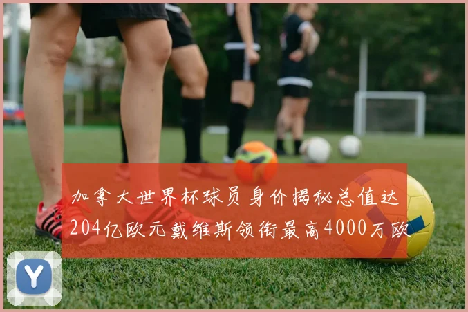 加拿大世界杯球员身价揭秘总值达204亿欧元戴维斯领衔最高4000万欧