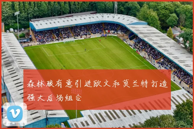 森林狼有意引进欧文和莫兰特打造强大后场组合